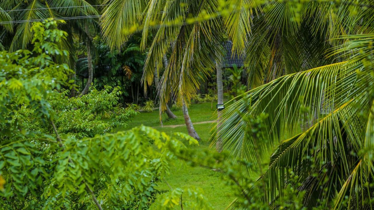 Silver Crown Nature Resort Kombichankulama Bagian luar foto