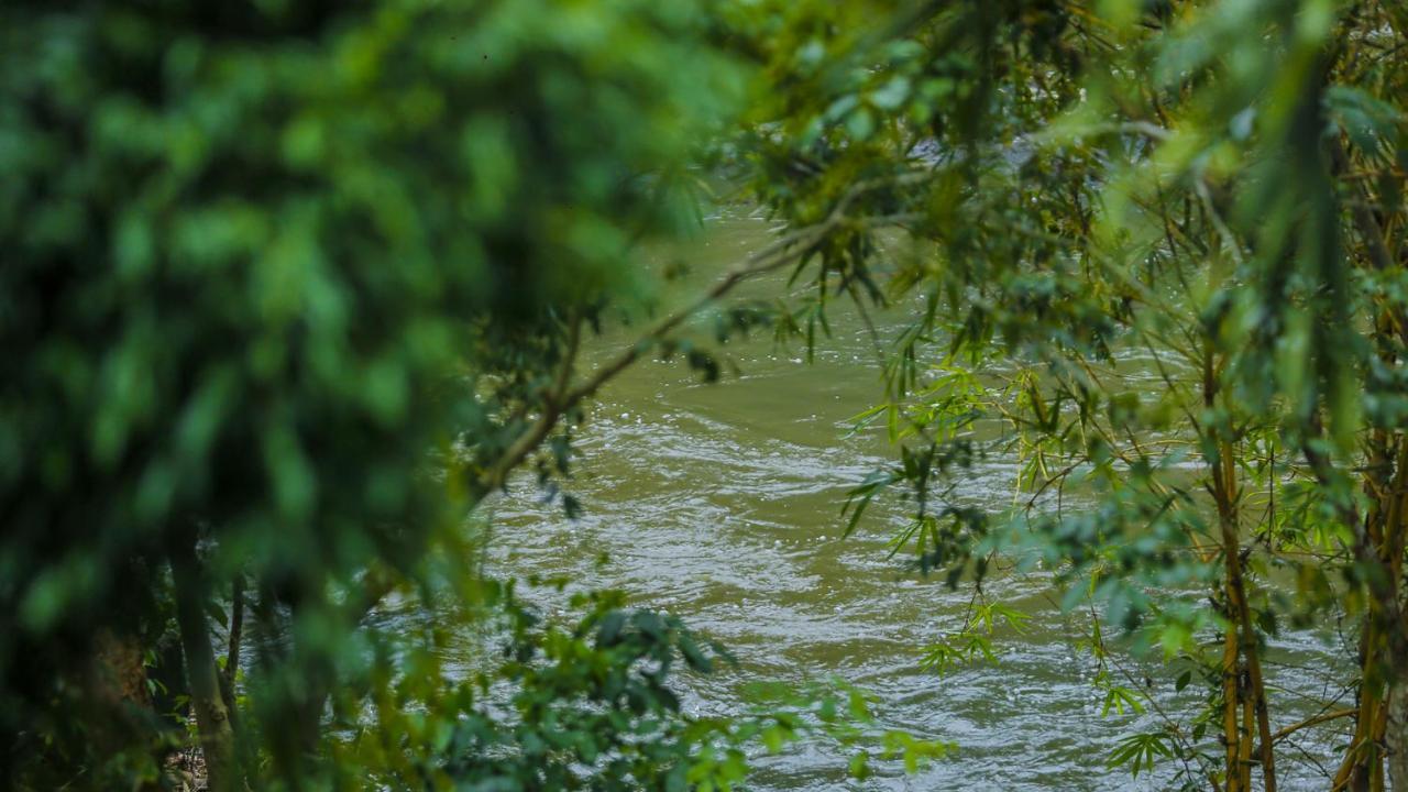 Silver Crown Nature Resort Kombichankulama Bagian luar foto